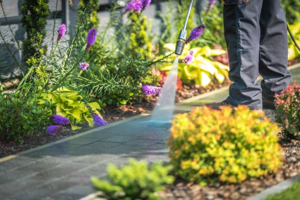 Best Sidewalk and Walkway Cleaning  in South Monrovia Island, CA