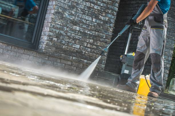 Best Building Exterior Washing  in South Monrovia Island, CA