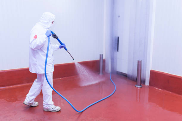 Best Solar Panel Cleaning  in South Monrovia Island, CA