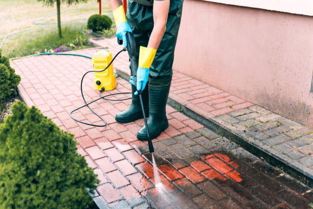 Best Rust Removal  in South Monrovia Island, CA